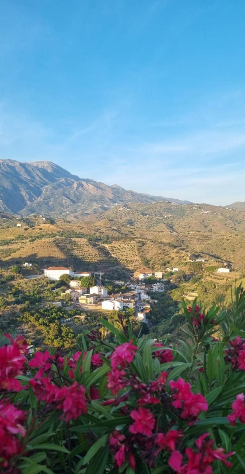 Bed and Breakfast La Vista Viñuela Exteriér fotografie